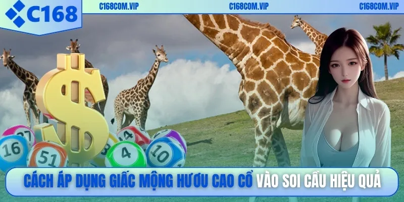 Cách áp dụng giấc mộng hươu cao cổ vào soi cầu hiệu quả