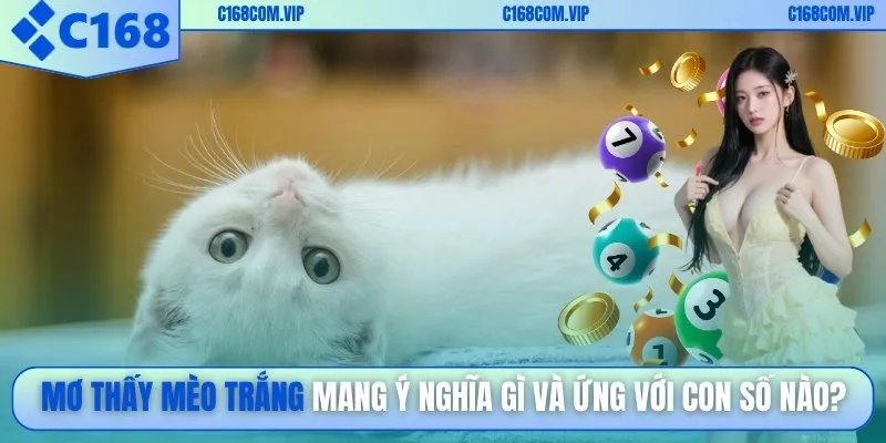 Mơ thấy mèo trắng