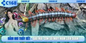 Nằm mơ thấy rết