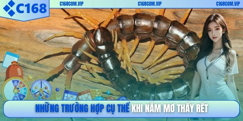 Những trường hợp cụ thể khi nằm mơ thấy rết